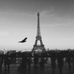 horizon-silhouette-black-and-white-white-skyline-photography-216-pxhere.com
