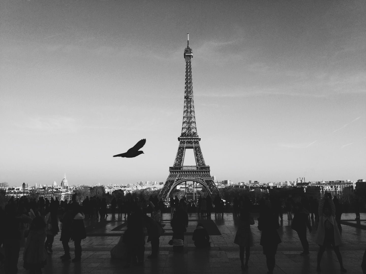 horizon-silhouette-black-and-white-white-skyline-photography-216-pxhere.com